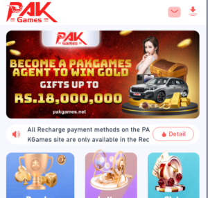 Pak804 Game – Is It Real or Fake? Full Review & Truth Explained 3