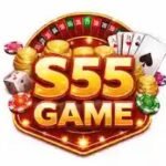 s55 game